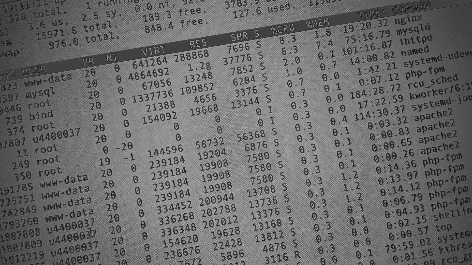 Настройка сервера в Полярном