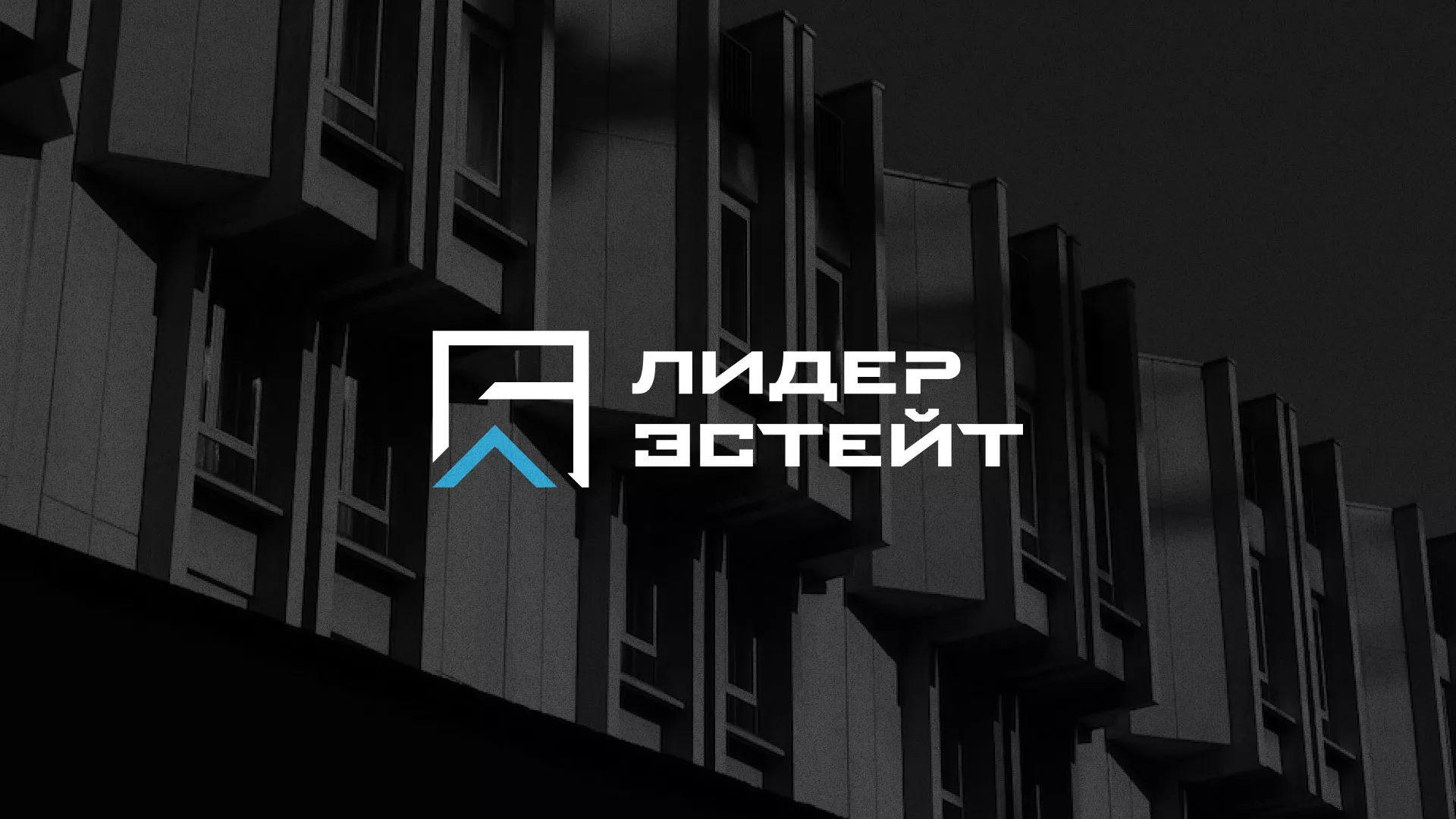 Разработка логотипа агентства недвижимости «Лидер Эстейт» в Полярном